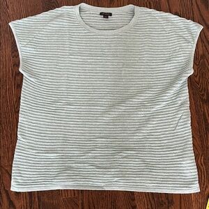 J. Jill Light Green Knit Top